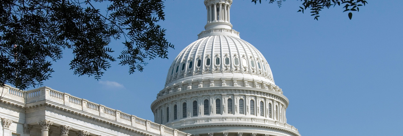 US Capitol dome